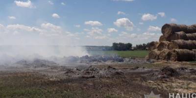 Внаслідок обстрілів з боку російських окупантів у Запорізькій області вигоріло близько 600 гектарів зернових культур