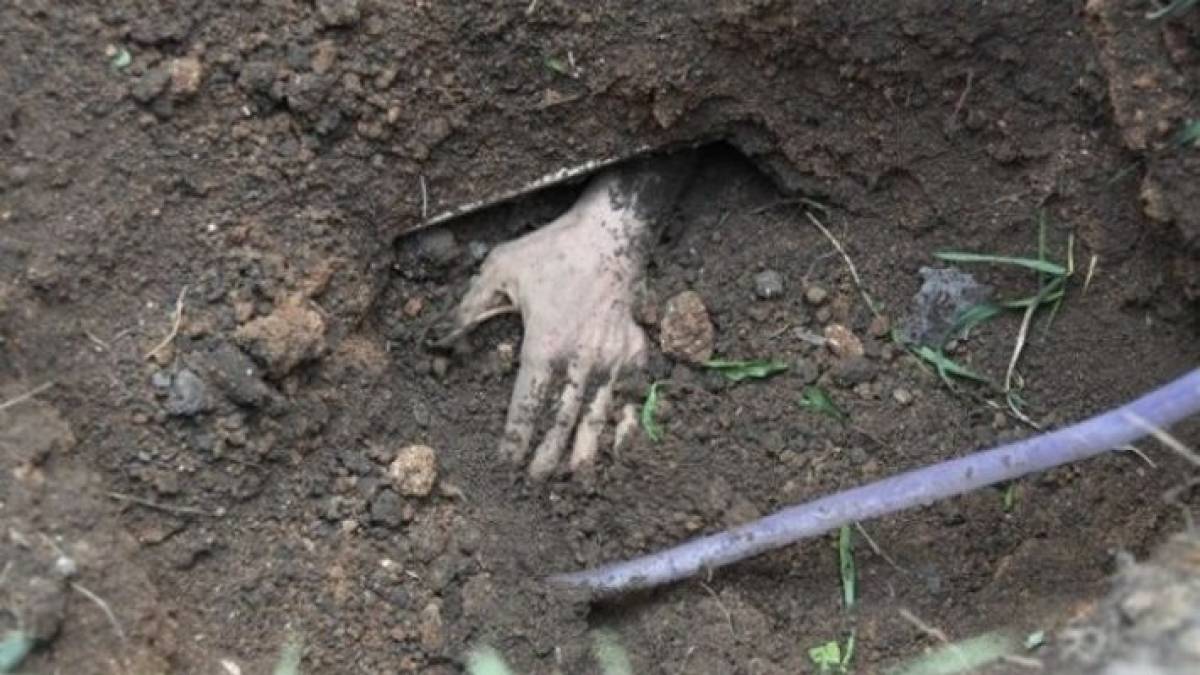 У парку тимчасово окупованого Мелітополя знайшли тіло 13-річної дівчинки, яка зникла майже місяць тому