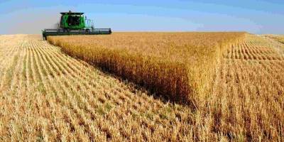 Які виклики поставила війна перед запорізькими аграріями