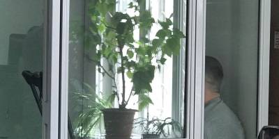 Водія автівки, що спричинив аварію на Космосі, відправили на 60 діб у СІЗО