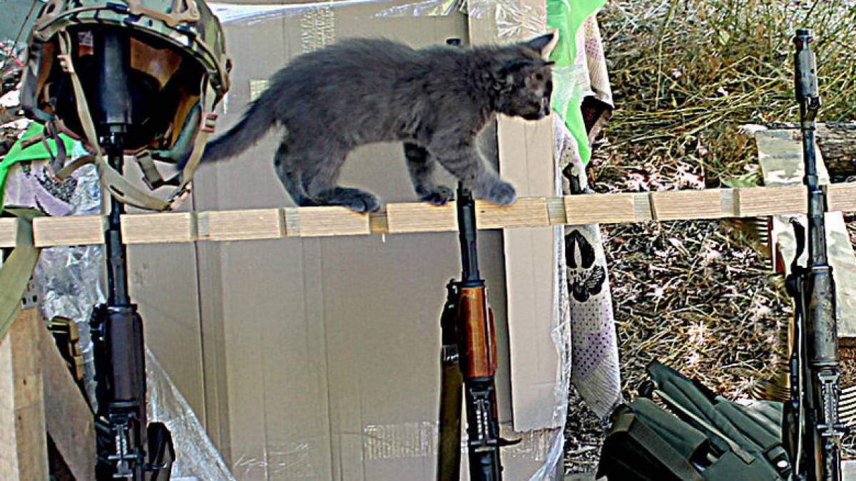 У добровольчому формуванні «Азов»-Запоріжжя тепер служить Махно (фото)