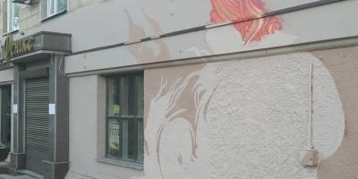 З Запоріжжя відлетів птах фенікс, залишивши після себе… тільки помах крила