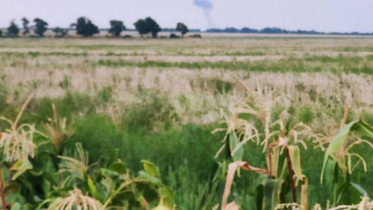 Про потужний вибух у передмісті  Бердянська повідомляють місцеві мешканці