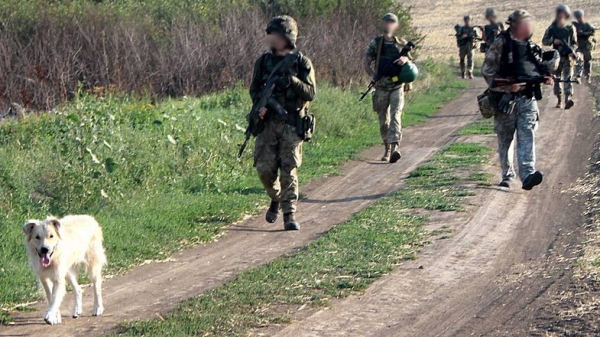 Пес Алий допомагає бійцям-азовцям захищати Запоріжжя (фото)