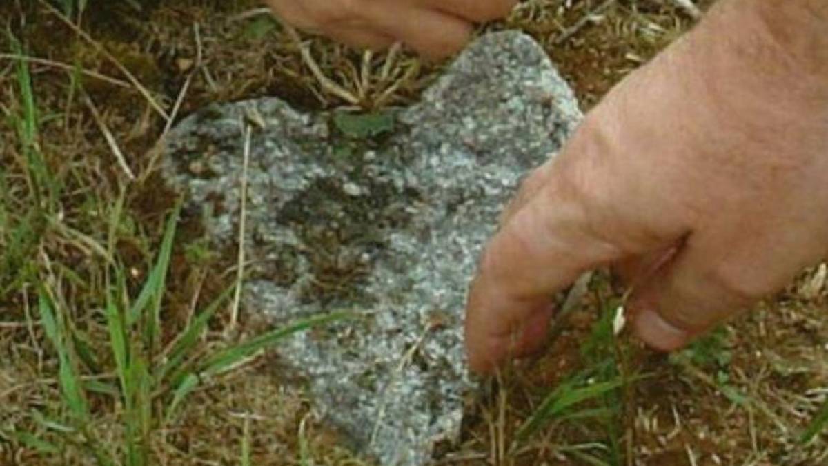 Думки вголос запорізького журналіста: «Справи серцеві»