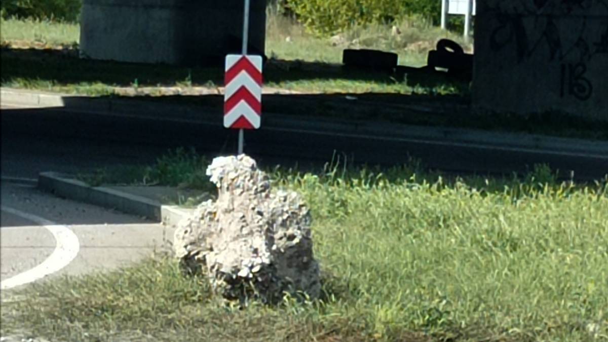 Хортиця сама себе захищає