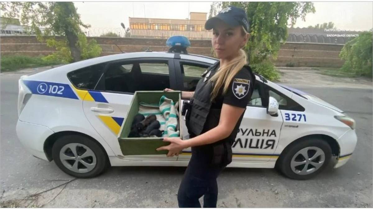 У Запоріжжі патрульні врятували новонароджених цуценят