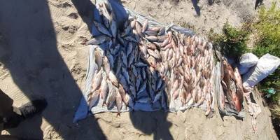 На акваторії Дніпровського водосховища правопорушники спричинили збитків на понад 300 тис. грн