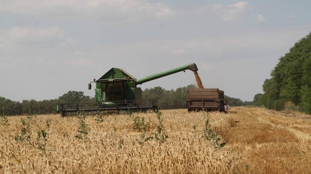 У Запорізькій області скарбниці місцевих бюджетів поповнюються коштами від сплати за землю