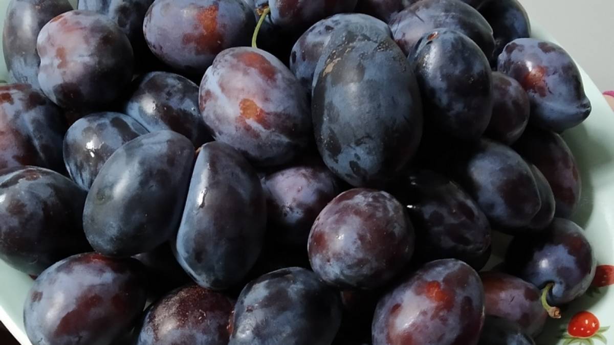 У Запоріжжі продають сливи з-під обстрілу (фото)