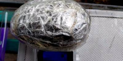 В Запоріжжі взято під варту чоловіка, який намагався перевезти партію метадону