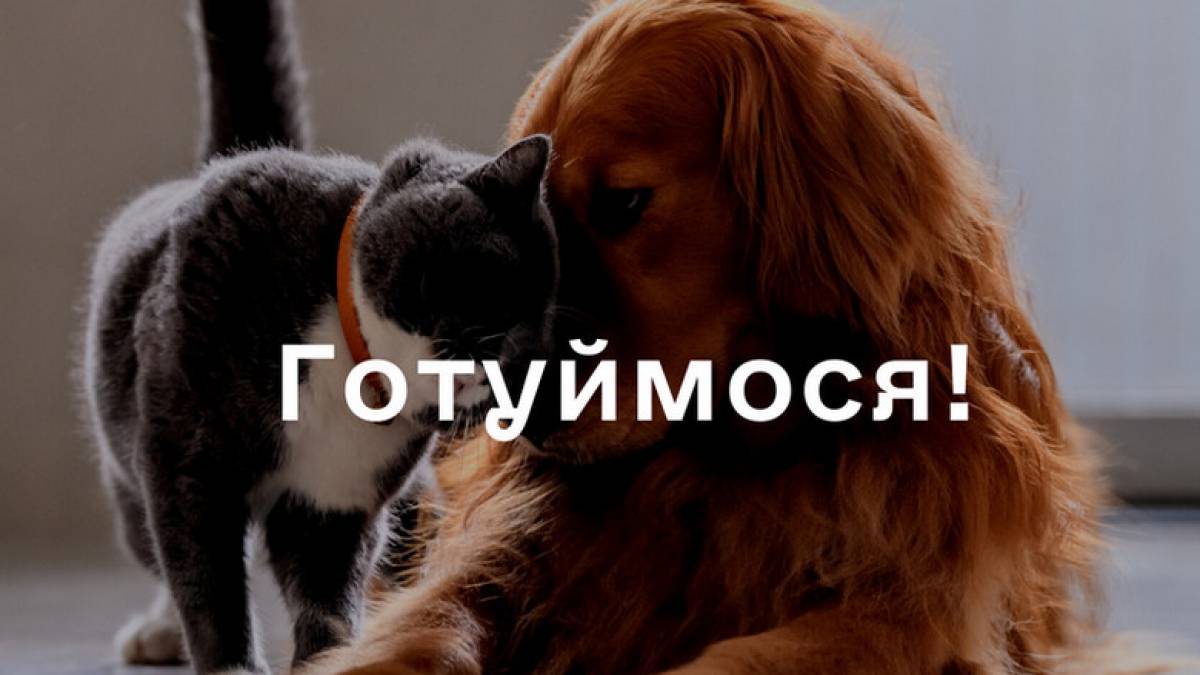 Поради запорожцям від Мінрегіону: як підготувати до опалювального сезону приватний будинок