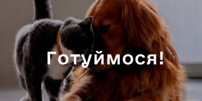 Поради запорожцям від Мінрегіону: як підготувати до опалювального сезону приватний будинок