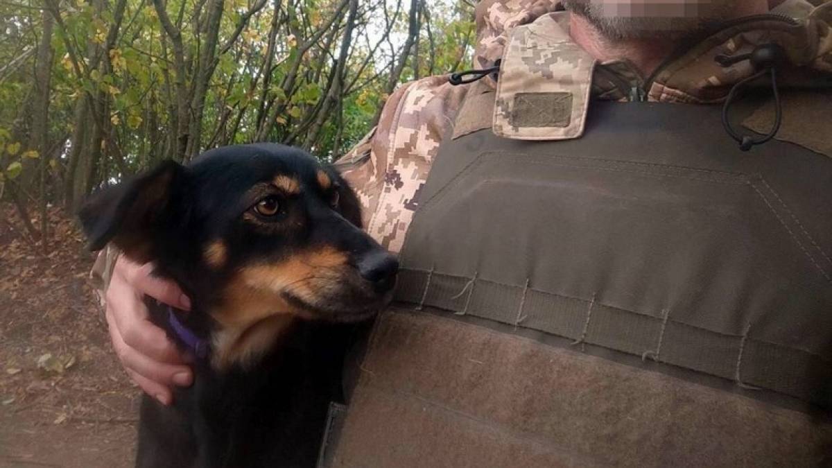 На Запоріжжі гвардієць із позивним Укрпошта врятував пораненого під час рашистського обстрілу пса