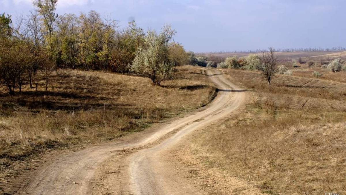 Пишаюся тим,  що козацького роду…