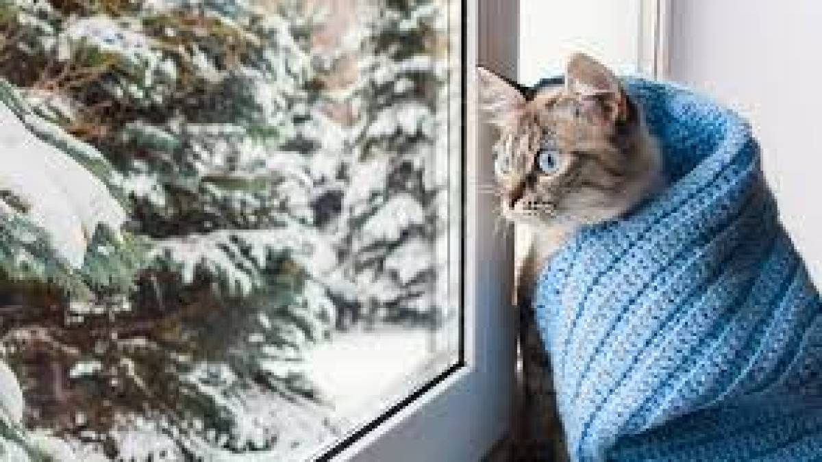 Якою буде зима в Україні, – директор Укргідрометцентру Микола Кульбіда