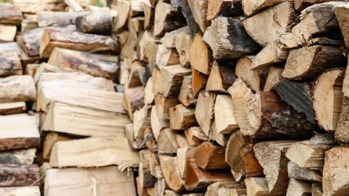 Безкоштовні дрова мешканцям прифронтових територій Запорізької області почнуть доставляти з наступного тижня, – Мінреінтеграції