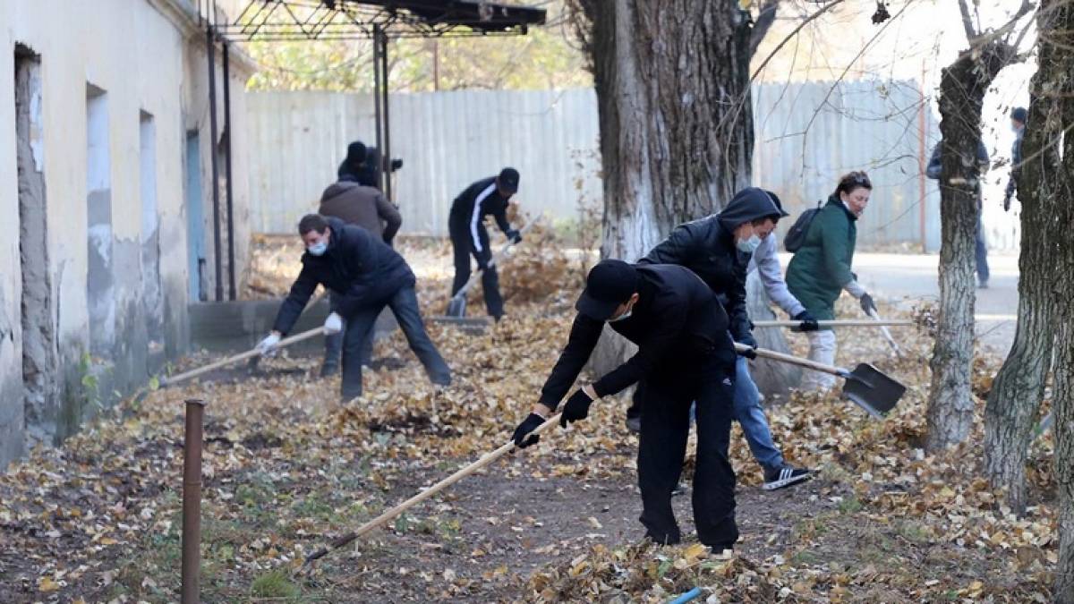 Запоріжці зможуть долучитися до всеукраїнського проєкту “Армія відновлення”