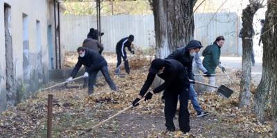 Запоріжці зможуть долучитися до всеукраїнського проєкту “Армія відновлення”
