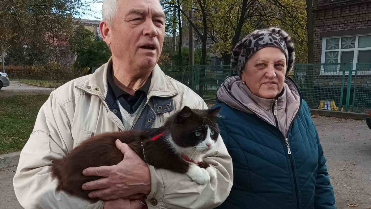 Наші люди своїх котів не залишають