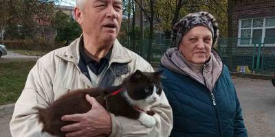Наші люди своїх котів не залишають