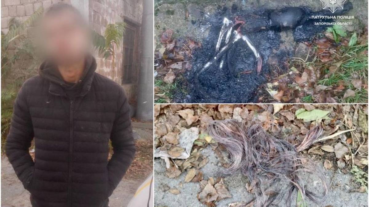 Запорізькі патрульні піймали крадія кабелю