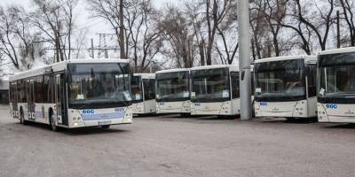У Запоріжжі почали працювати автобусні маршрути: подробиці