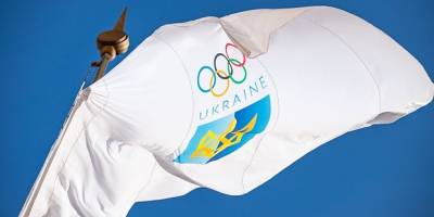 Виконком НОК прийняв відставку Суркіса, Шуфрича та Кожем’якіна