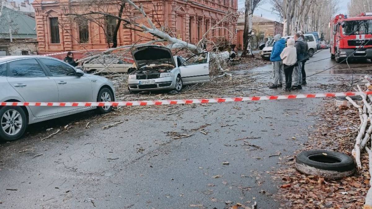 У Запоріжжі дерево впало на автомобіль (фото, відео)