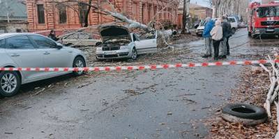У Запоріжжі дерево впало на автомобіль (фото, відео)