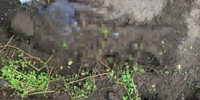 У Запорізькій області син вбив та закопав рідного батька