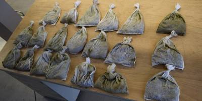 З України до Польщі в автобусі намагалися вивезти 8500 живих п’явок