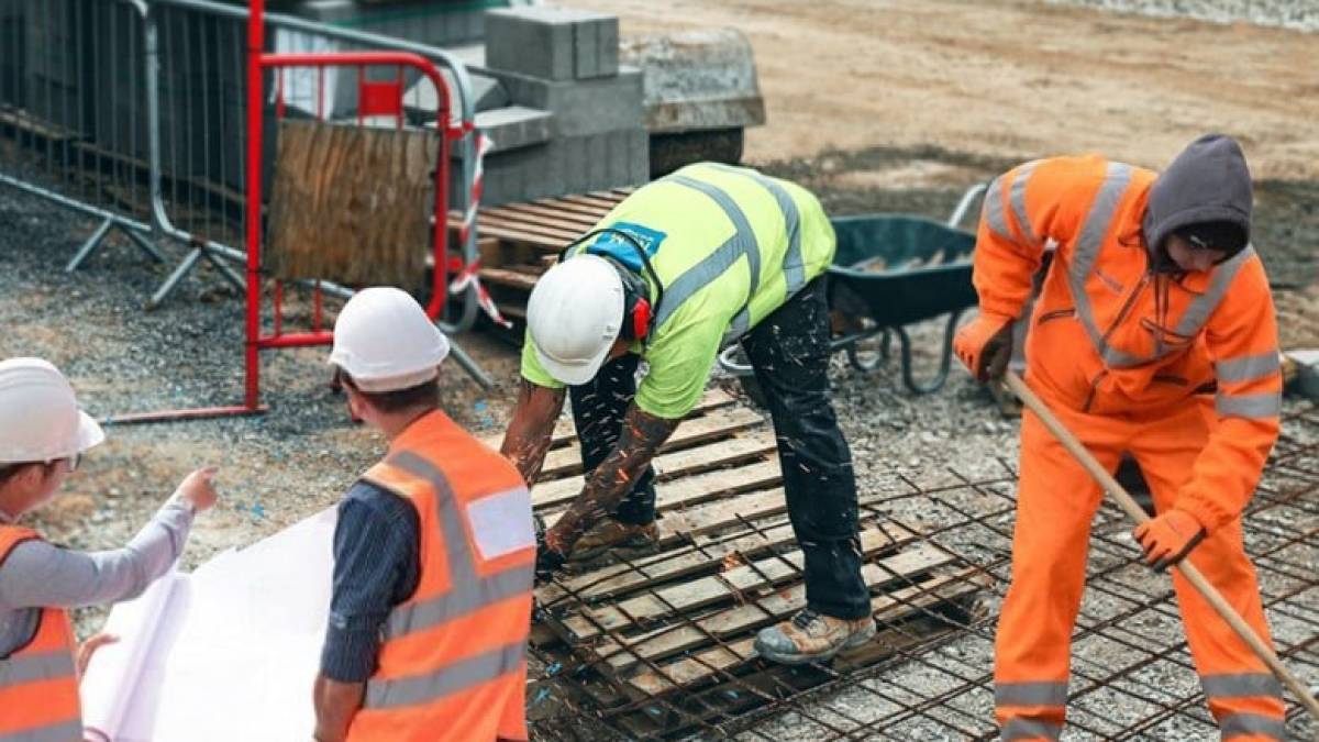 Запорізька область найближчим часом приєднається до «Армії відновлення»