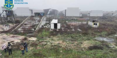Прокуратура розслідує масовий мор птахів у Чорнобаївці