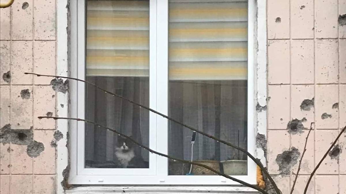 Українці відбудовують свої поранені міста: Ірпінь