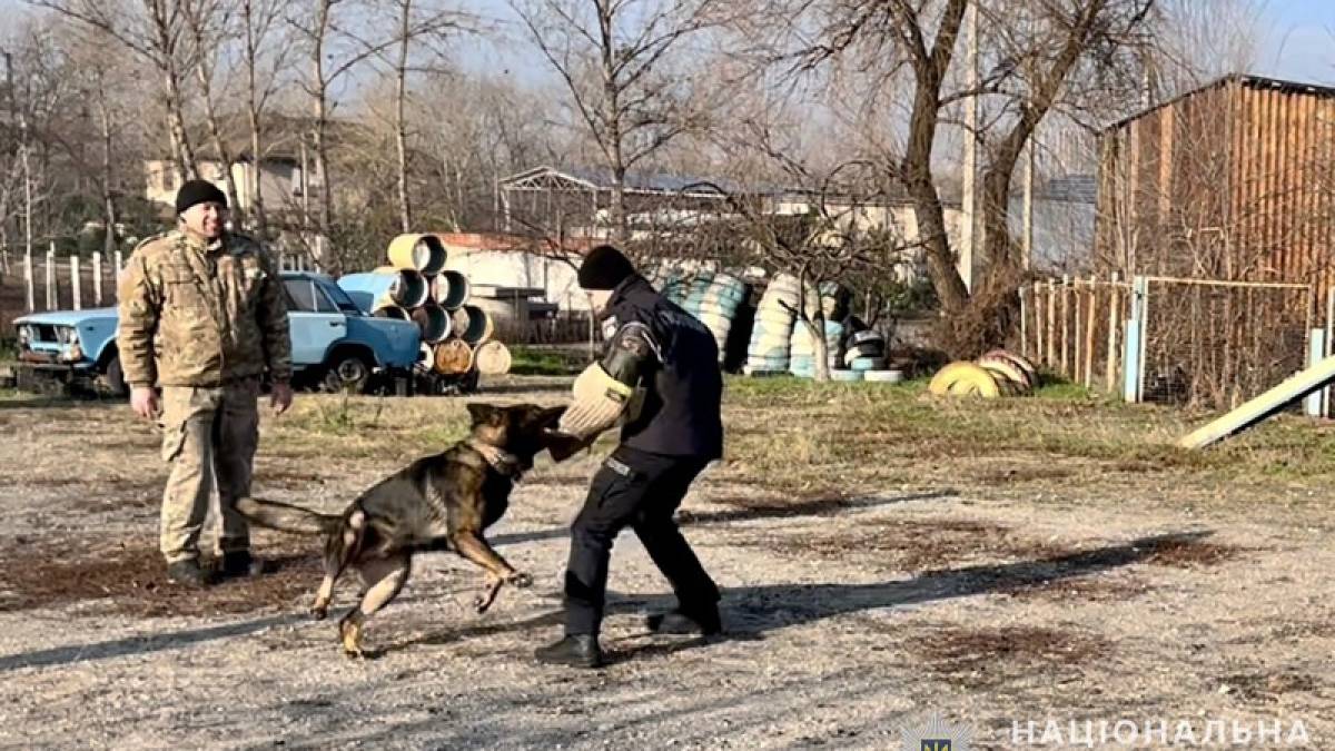 У Запоріжжі курсанти вишів МВС відвідали Кінологічний центр обласного главку