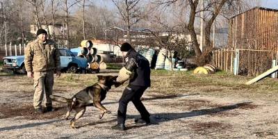 У Запоріжжі курсанти вишів МВС відвідали Кінологічний центр обласного главку