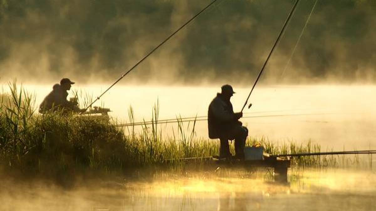 Зникаючі види риб внутрішніх водойм Запорізької області, яких заборонено ловити