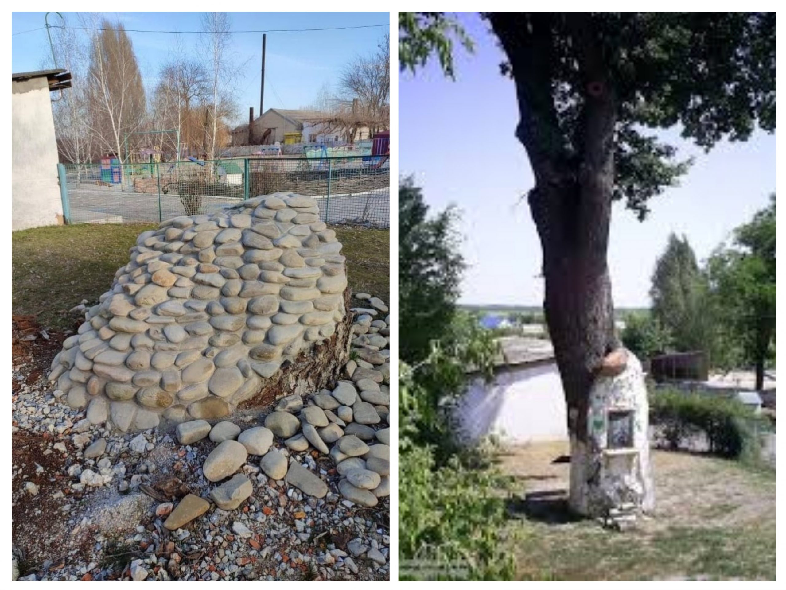 Окупанти знищили найстаріший дуб Запорізької області