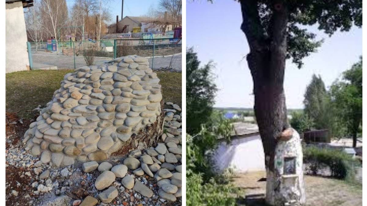 В Мелитопольском районе оккупанты уничтожили самый старый дуб в Запорожской области
