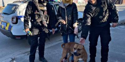 Запорізькі патрульні повернули мандрівника Тайсона додому