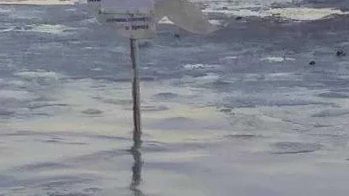 Окупанти замінували пляжі у Бердянську
