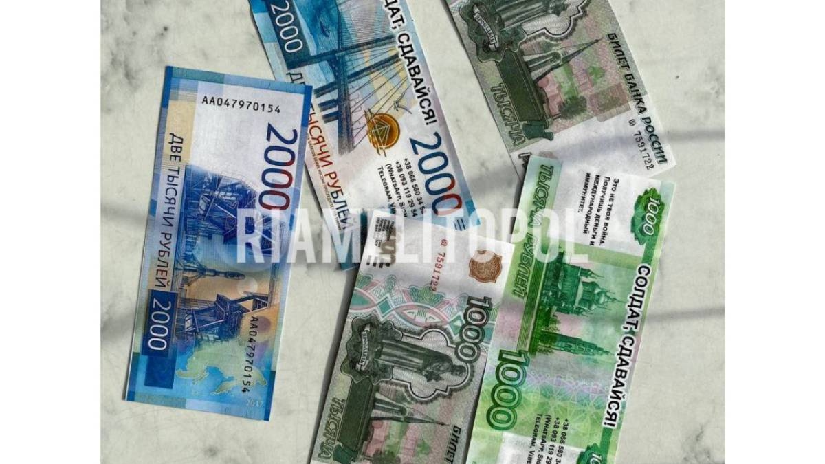 Бійці Мелітопольського ТРО закидали позиції окупантів рублями