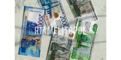 Бійці Мелітопольського ТРО закидали позиції окупантів рублями