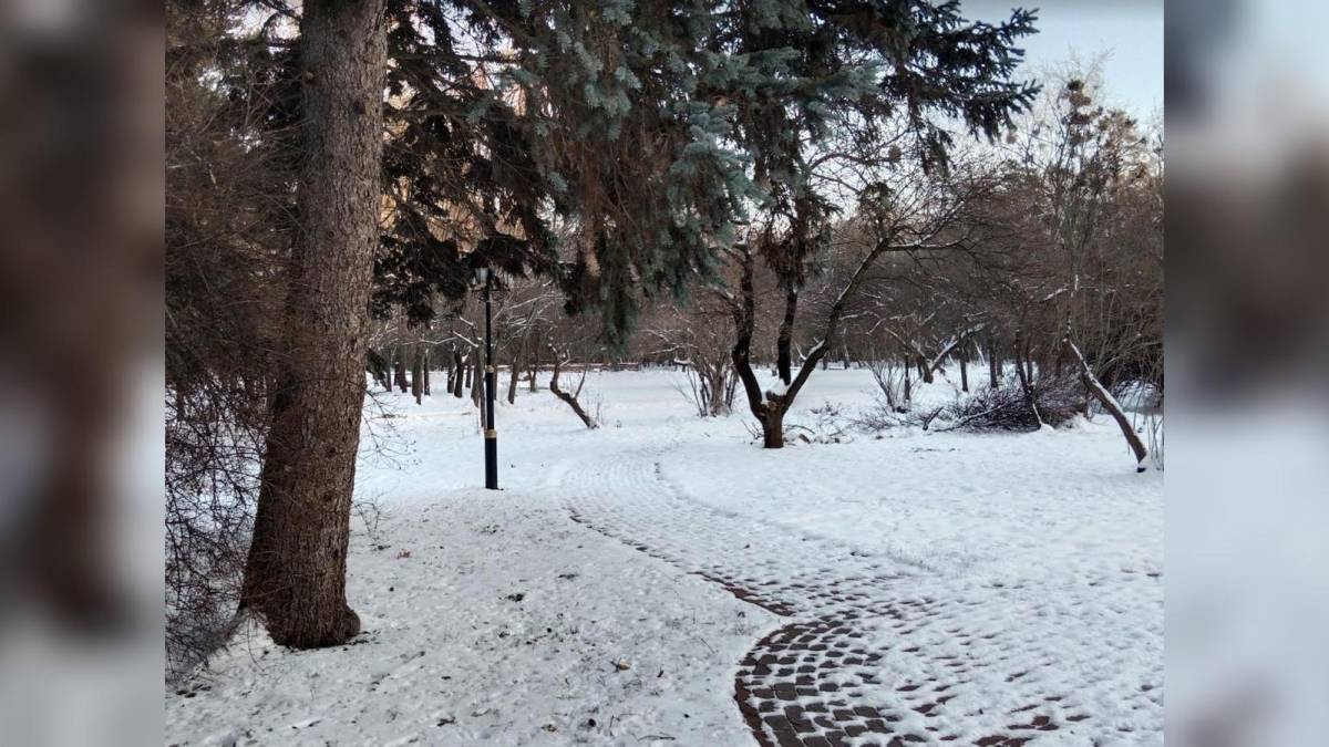 В Україну йде похолодання і сніжний циклон – прогноз синоптика на тиждень