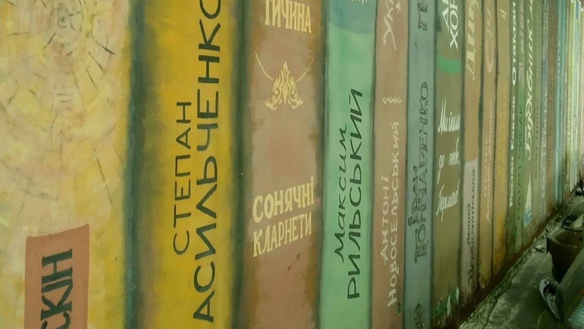 Думки вголос запорізького журналіста: «Намальована книжкова полиця та розповідь сержанта ЗСУ про життя після смерті»