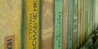 Думки вголос запорізького журналіста: «Намальована книжкова полиця та розповідь сержанта ЗСУ про життя після смерті»