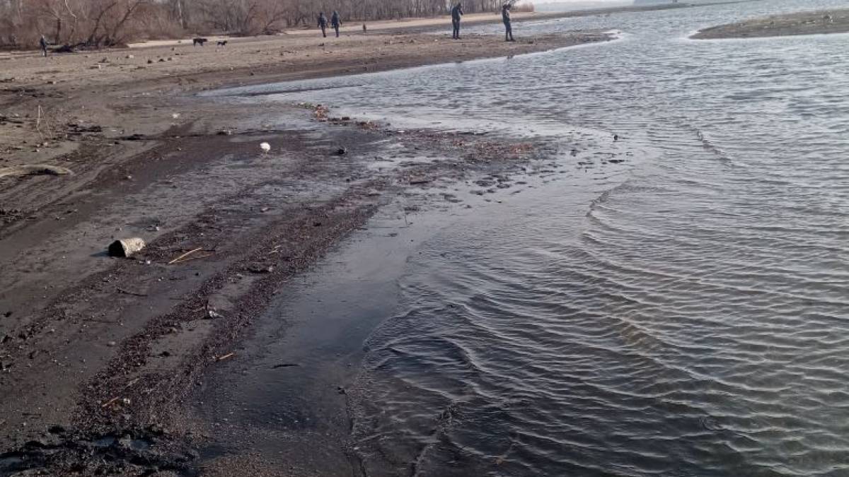 Вода йде з Каховського водосховища, риба гине: причини, збитки та рятувальна операція