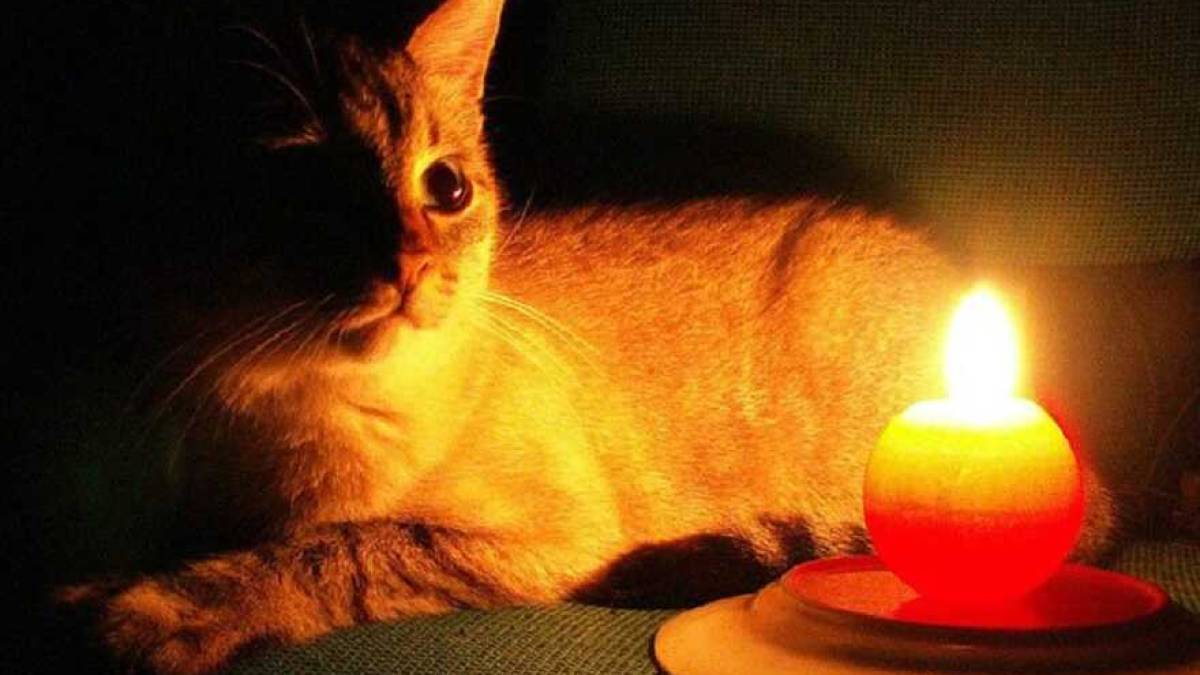 У Запоріжжі оприлюднили графік відключення світла на 3 лютого: відключення почнуться зранку