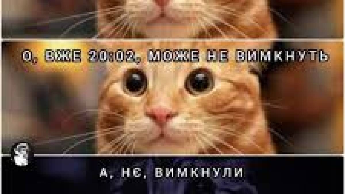 Отключение электроэнергии в Запорожье 4 февраля: чего ожидать?